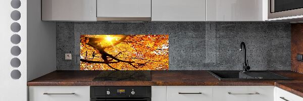 Panel lacobel Korona drzew jesień