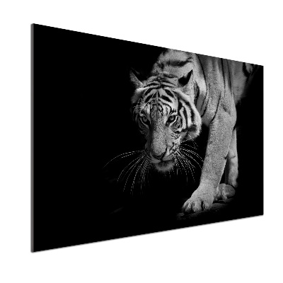 Panel szklany do kuchni Tygrys