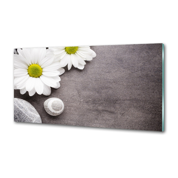 Panel szklany do kuchni Gerbera