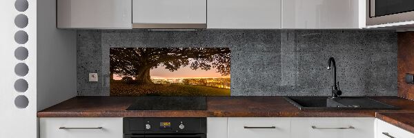 Panel dekor szkło Stare drzewo