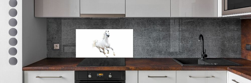Panel do kuchni Biały arabski koń