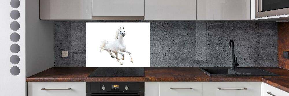 Panel do kuchni Biały arabski koń