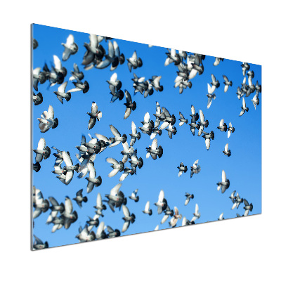 Panel dekor szkło Stado gołębi