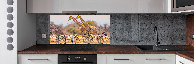 Panel do kuchni Żyrafy i zebry