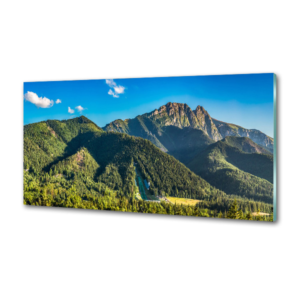 Panel do kuchni Panorama Tatr