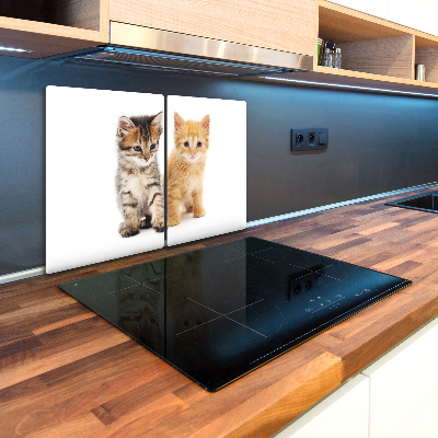 Deska kuchenna szklana Brązowy i rudy kot