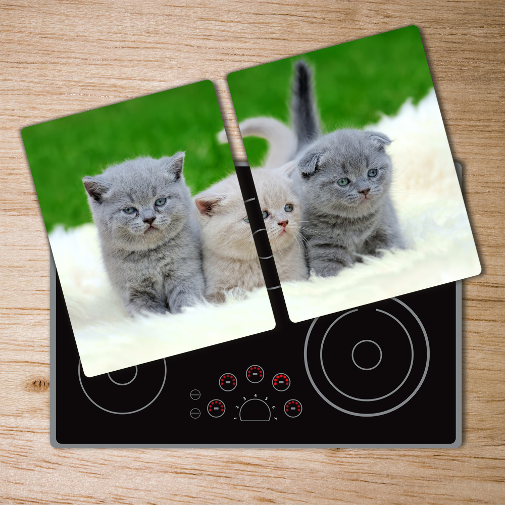 Deska kuchenna szklana Trzy koty na kocu