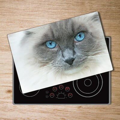Deska kuchenna szklana Kot niebieskie oczy