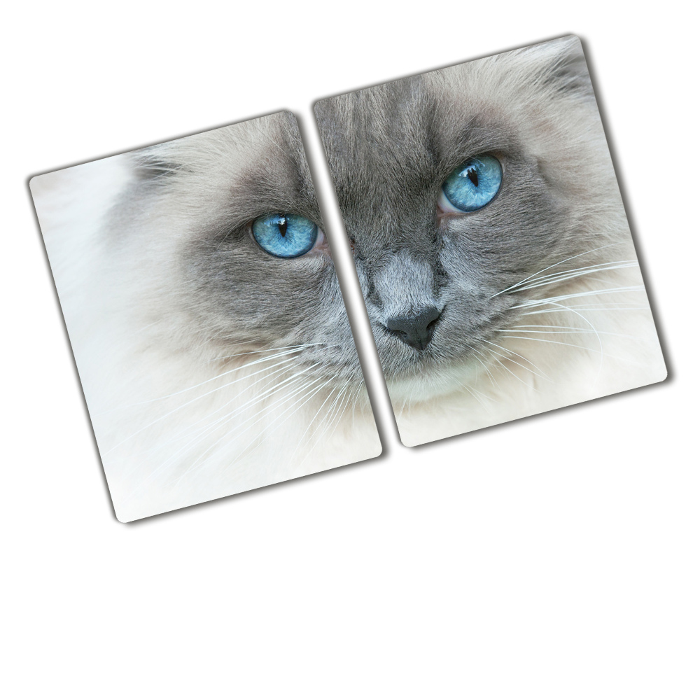 Deska kuchenna szklana Kot niebieskie oczy