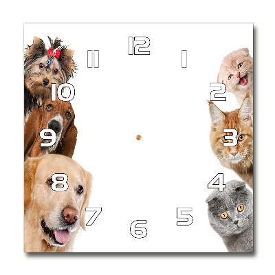 Zegar szklany kwadratowy Psy i koty