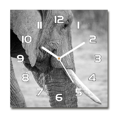 Zegar ścienny szklany kwadratowy Słoń