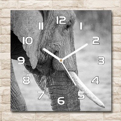 Zegar ścienny szklany kwadratowy Słoń