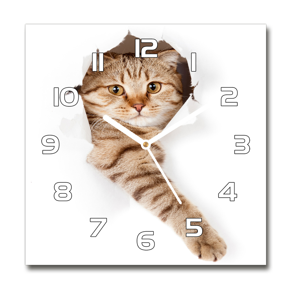 Zegar ścienny szklany kwadratowy Kot