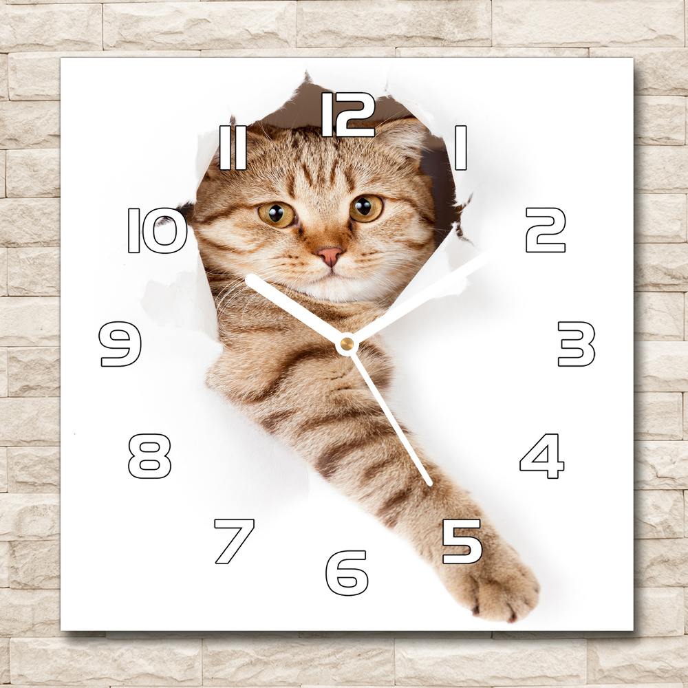 Zegar ścienny szklany kwadratowy Kot