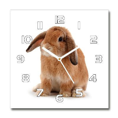 Zegar szklany kwadratowy Rudy królik