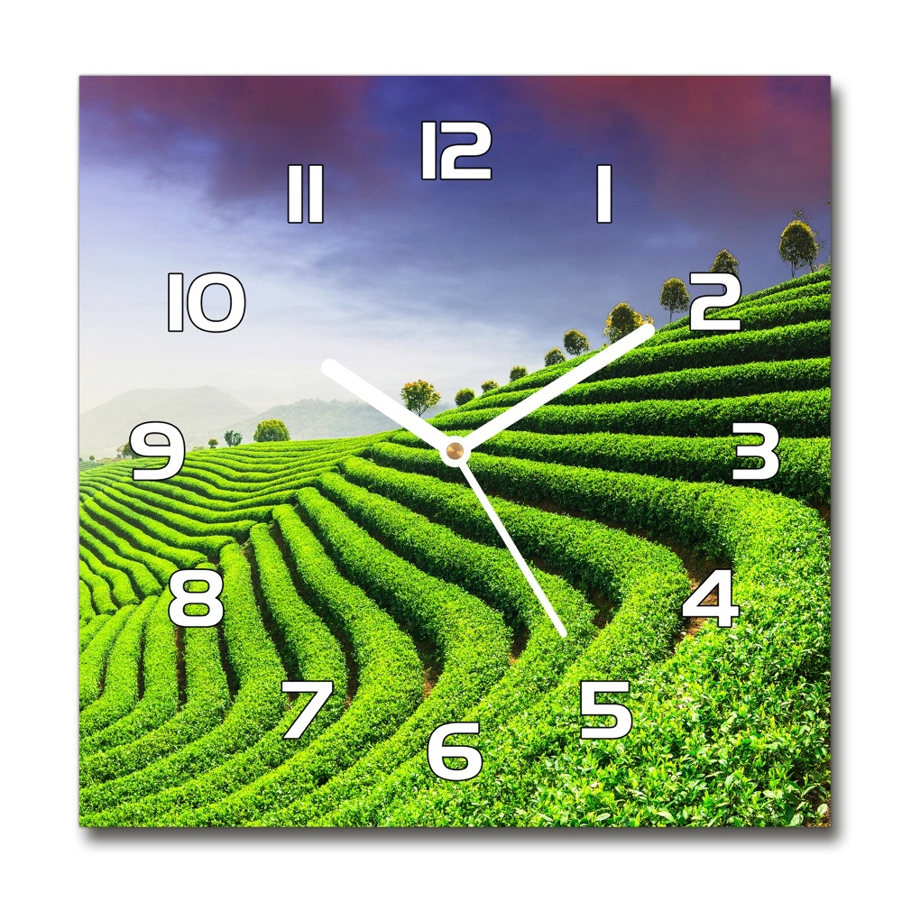 Zegar szklany kwadratowy Plantacja herbaty