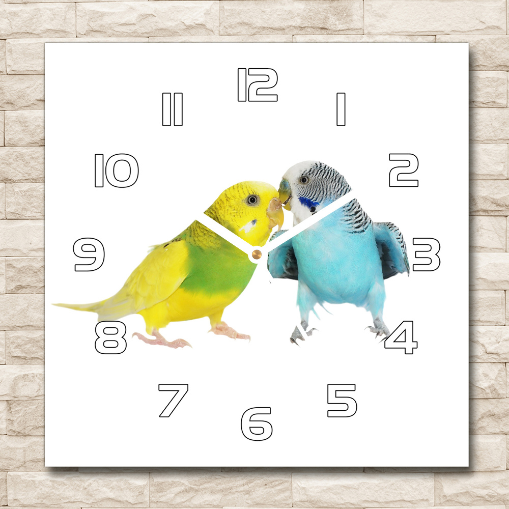 Zegar szklany kwadratowy Papużki faliste