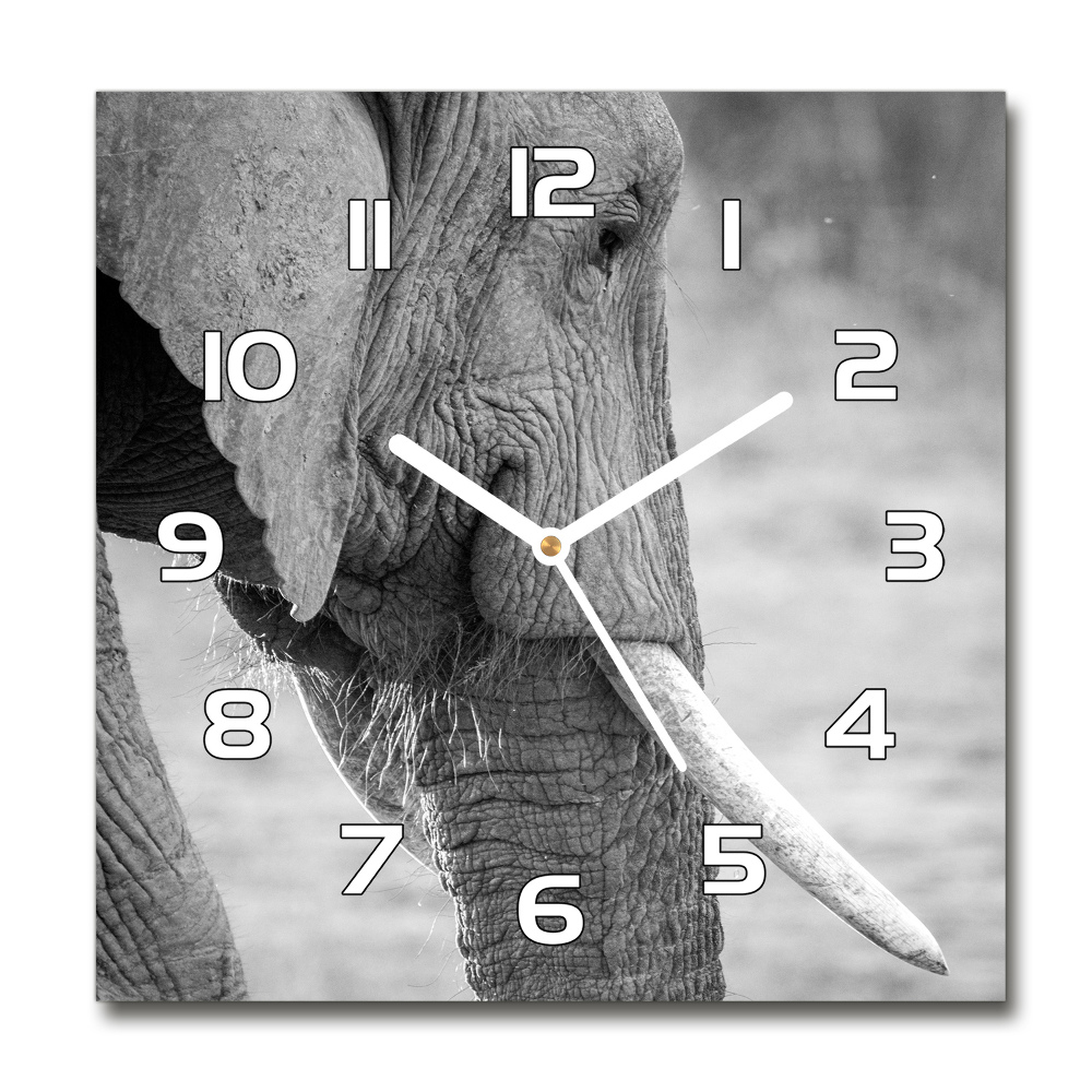 Zegar ścienny szklany okrągły Słoń