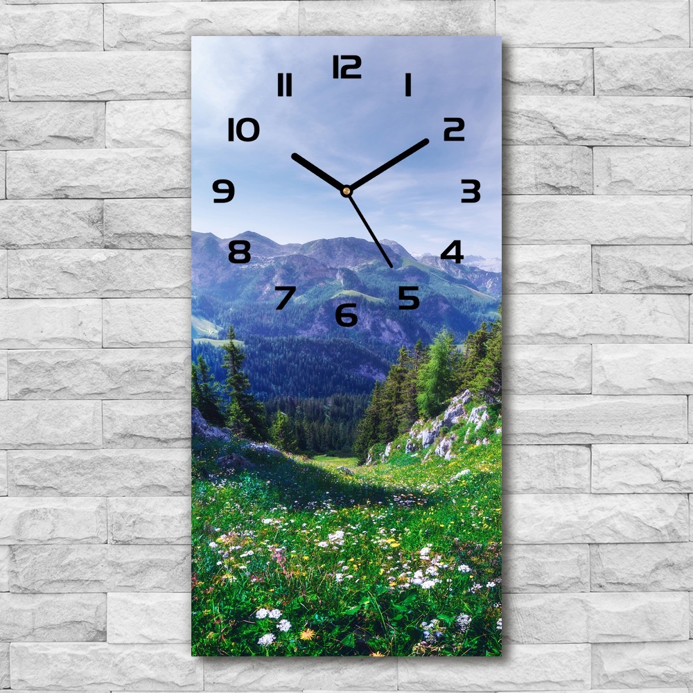 Nowoczesny zegar ścienny Alpy