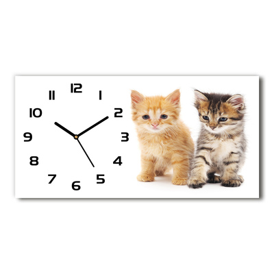 Zegar ścienny szklany Brązowy i rudy kot