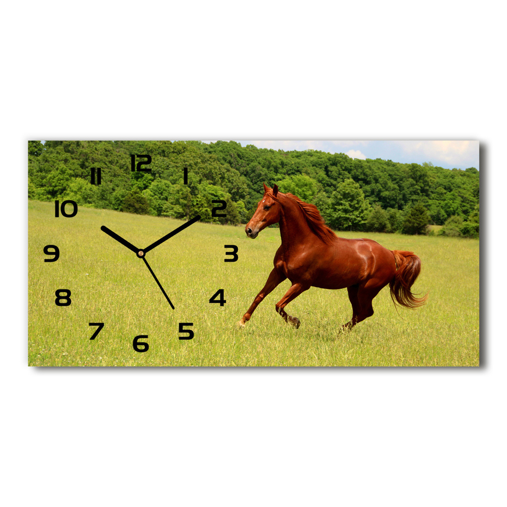 Nowoczesny zegar ścienny szklany Koń na łące