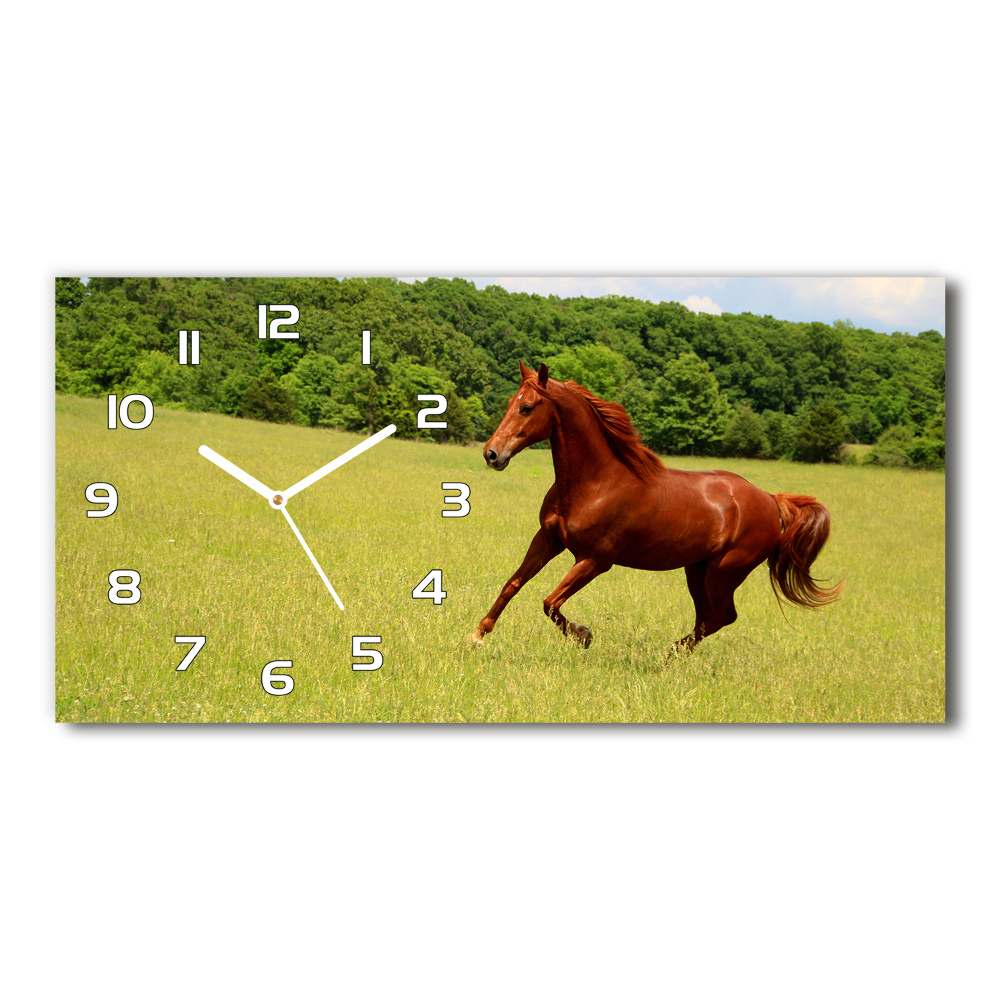 Nowoczesny zegar ścienny szklany Koń na łące