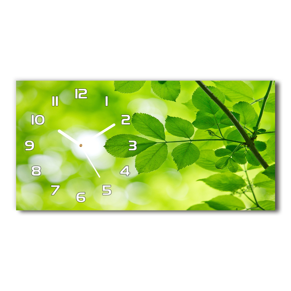 Zegar ścienny szklany cichy Zielone liście
