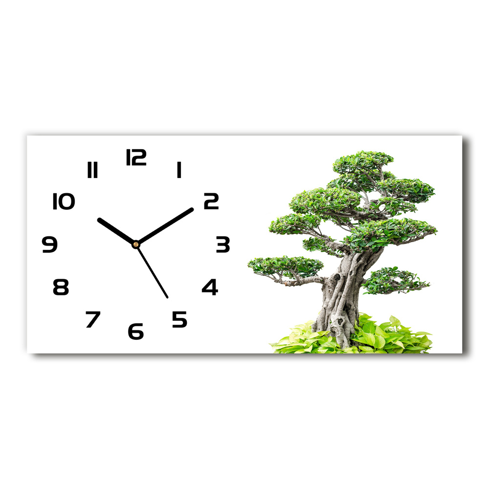 Zegar ścienny szklany cichy Drzewo bonsai