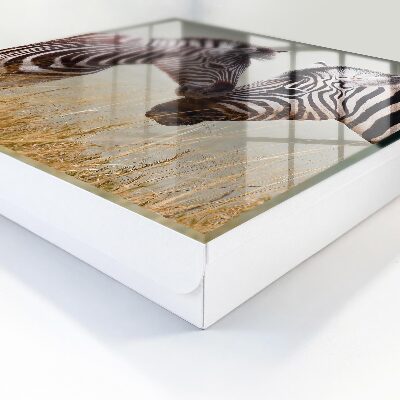 Nowoczesna skrzynka na klucze Zebry razem