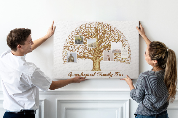 Tablica korkowa Drzewo genealogiczne z rozgałęzionymi konarami