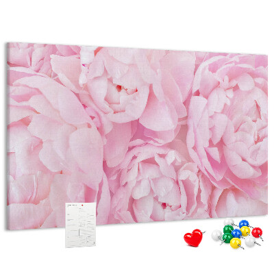 Tablica korkowa Różowe peonie w delikatnym odcieniu.