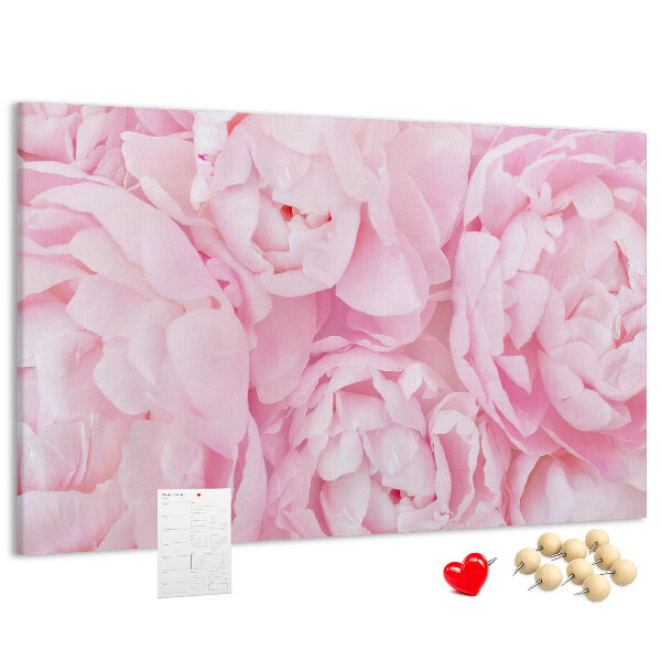 Tablica korkowa Różowe peonie w delikatnym odcieniu.