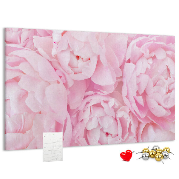 Tablica korkowa Różowe peonie w delikatnym odcieniu.