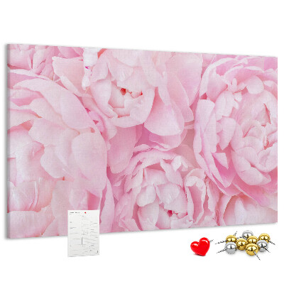 Tablica korkowa Różowe peonie w delikatnym odcieniu.