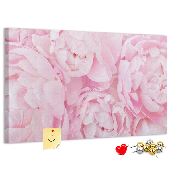 Tablica korkowa Różowe peonie w delikatnym odcieniu.