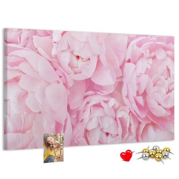 Tablica korkowa Różowe peonie w delikatnym odcieniu.