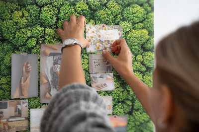 Tablica korkowa Zielony las z gęstą roślinnością