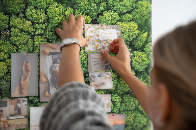 Tablica korkowa Zielony las z gęstą roślinnością