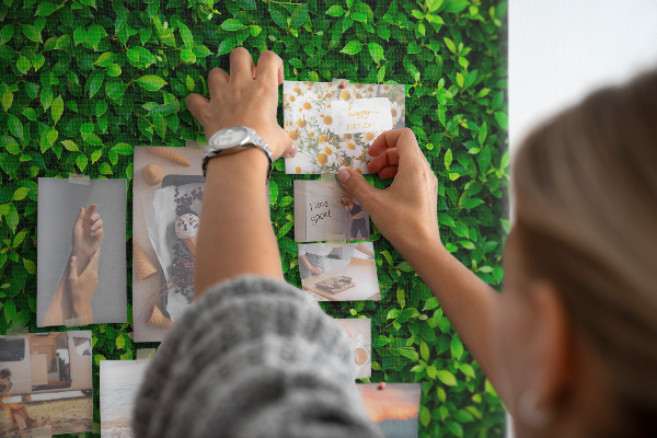Tablica korkowa Zielona ściana liściastego wzoru roślinnego