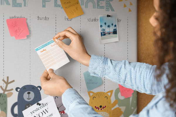 Tablica korkowa z nadrukiem Kolorowy planner tygodniowy z zwierzętami