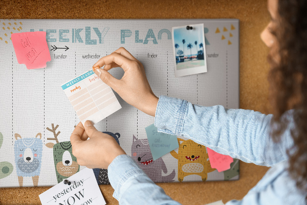 Tablica korkowa z nadrukiem Kolorowy planner tygodniowy z zwierzętami