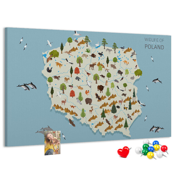 Tablica korkowa z nadrukiem Fauna Polski na kolorowej mapie