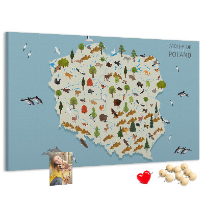 Tablica korkowa z nadrukiem Fauna Polski na kolorowej mapie