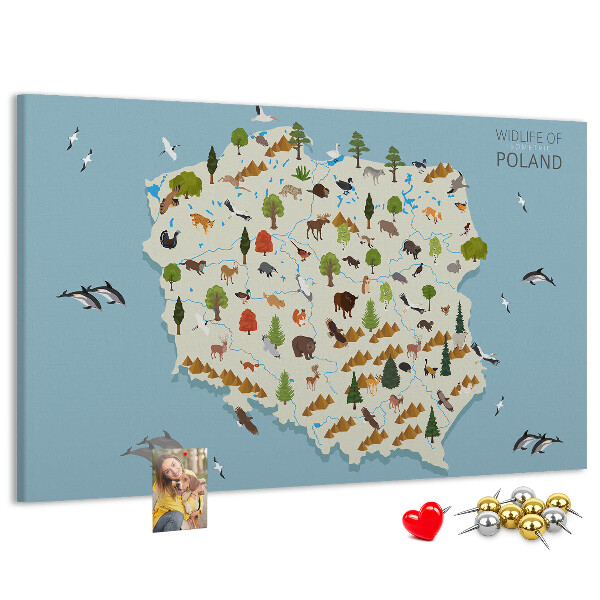 Tablica korkowa z nadrukiem Fauna Polski na kolorowej mapie