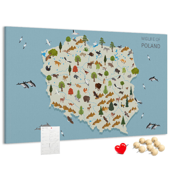 Tablica korkowa z nadrukiem Fauna Polski na kolorowej mapie