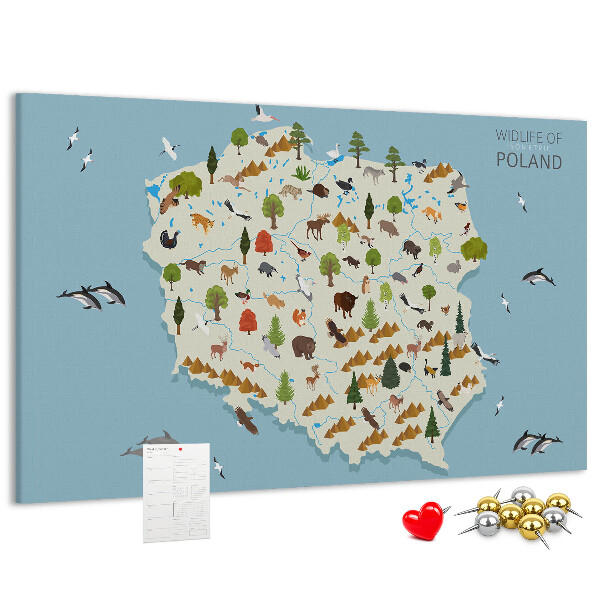 Tablica korkowa z nadrukiem Fauna Polski na kolorowej mapie