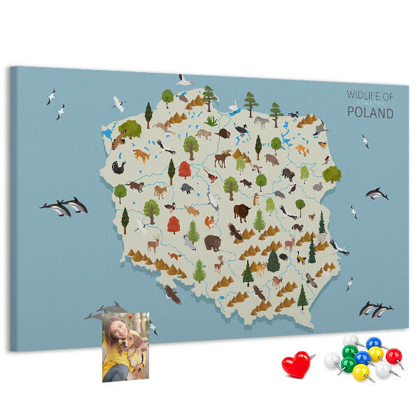 Tablica korkowa z nadrukiem Fauna Polski na kolorowej mapie