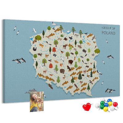 Tablica korkowa z nadrukiem Fauna Polski na kolorowej mapie