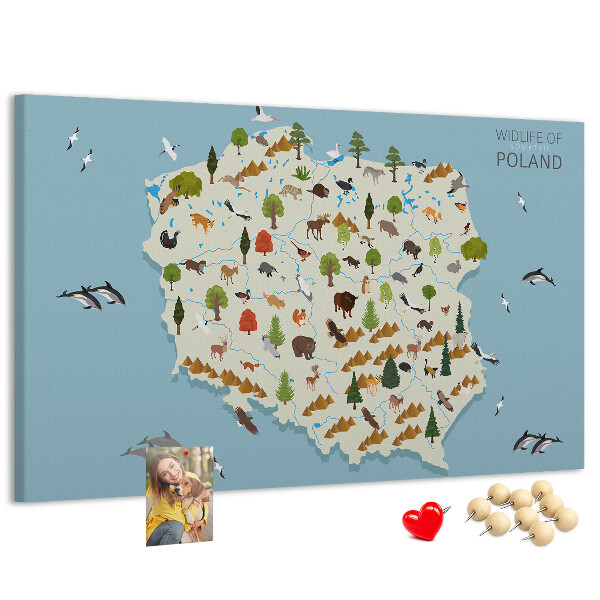 Tablica korkowa z nadrukiem Fauna Polski na kolorowej mapie