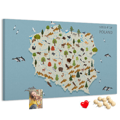 Tablica korkowa z nadrukiem Fauna Polski na kolorowej mapie